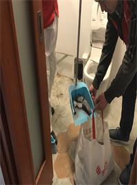 衛生間，廚房堵漏